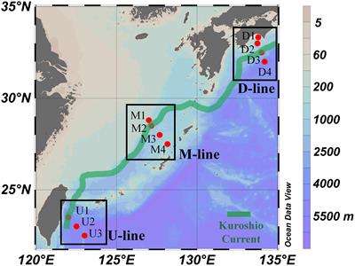 Geographic Variation of Particle Size Distribution in the Kuroshio Region: Possible Causes in the Upper Water Column